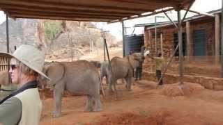 Ithumba Camp Tsavo East National Park, Kenya