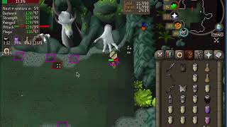 Solo olm no deaths (without running the melee hand)