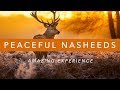 Nadeem Mohammed - Relaxing Vocals With Nature Sounds (Peaceful Nasheeds)