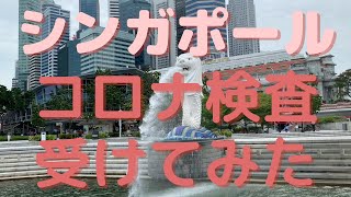 【シンガポール コロナ対策】まさか私がコロナのクラスターに足を踏み入れて、PCR検査をすることに？