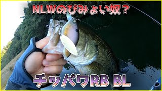 【NLW】※これはクランクベイトじゃありません【チッパワRBBL】