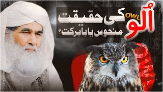What islam says about Owl | Ullo or Nahoosat | Owl Ki Ankh Ka Taweez | Maulana Ilyas Qadri Bayan