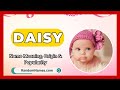 Daisy - Baby Girl Name Meaning, Origin & Popularity - RandomNames.com