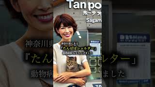 借金2000万円を負っても猫を救い続けた…#殺処分ゼロ #保護猫 #あにまるzoo #AI