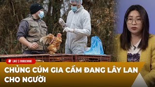 Thời Sự Thế Giới P2 (02-18-2025) ᴄʜủɴɢ ᴄúᴍ ɢɪᴀ ᴄầᴍ đang lây lan cho người