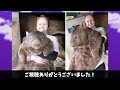 【2ch動物スレ】オーストラリアの動物園「台風の影響で2ヶ月閉鎖します」ウォンバット「鬱だ死のう…」 動物豆知識 2ch動物スレ 面白い雑学