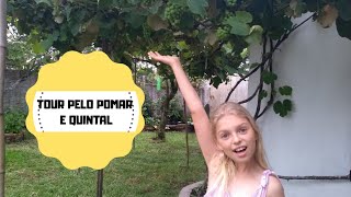 Tour pelo Pomar Quintal Conhecendo Nossas Plantas e Frutas Uvas, Pêssegos e Amoras! 😋