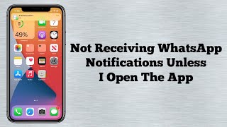 Not Receiving WhatsApp Notifications Unless I Open The App on iPhone iOS 17 (Fixed)
