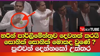 හරීන් පාර්ලිමේන්තුව දෙවනත් කරයි සොනික් සොනික් මොකද වුණේ ? කට උත්තර නැතිවෙන්නම කියයි