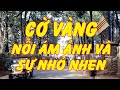 CỜ VÀNG : NỖI ÁM ẢNH VÀ SỰ NHỎ NHEN (JB Nguyễn Hữu Vinh) - Tài Nguyễn Diễn Đọc