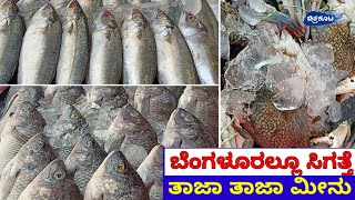 ಬೆಂಗಳೂರಲ್ಲೂ ಸಿಗತ್ತೆ ತಾಜಾ ತಾಜಾ ಮೀನು|Fresh Fish Available in Bengaluru|Fish|Bengaluru Fish market|