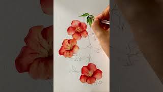 [베리현 수채화 short]능소화 그리기 | Watercolor painting Watercolor flower Watercolor tutorial |trumpetcreeper