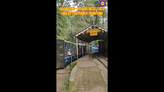 Darjeeling - Siliguri DHR Diesel Loco Hauled Toy Train is at Rangtong (Rongtong) railway station