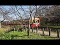 小湊鐵道 月崎駅を発車する電車