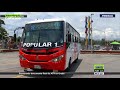 nuevos buses de medellín se reconocerán por sus colores teleantioquia