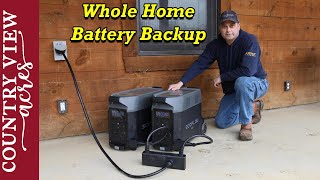 Replacing Our Gas Generator with EcoFlow Delta Pro for Whole Home Power Backup