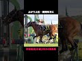 本命党にお任せ 中京記念2024 shorts 競馬予想