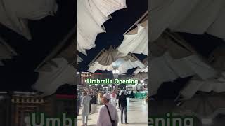 Masjid E Nawabi Special Umbrella opening witness