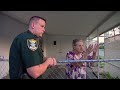 lee county s traffic stop surprise full episode season 18 episode 05 cops full episodes