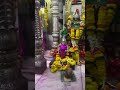 kulswami siddhanath darshan today s live aarti god श्री mauli shree new