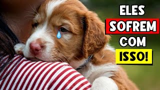 10 coisas do DIA A DIA que fazem o seu CACHORRO SOFRER emocionalmente 🐶💔