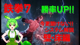 【鉄拳7】今更聞けない！システム解説【壁・床編】