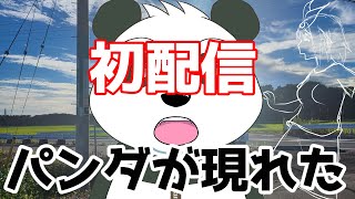 【初配信】はじめまして　甲斐と申します　VTuber