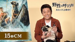 映画『野性の呼び声』TVCM１５秒【坂上忍さん出演】編　大ヒット上映中