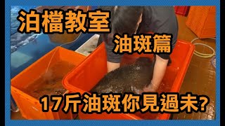 【泊檔教室】油斑篇, 17斤油斑你見過未?