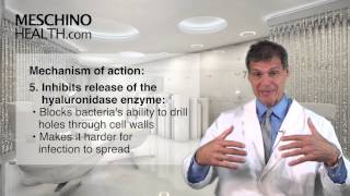 Echinacea: One Of Nature's Immune Modulators Echinacea: One Of Nature's Immune Modulators