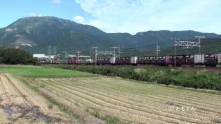 東海道本線　穂積　－　近江長岡　2012/10撮影　EF66