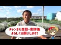 有名種メーカー元社員オススメ！11月家庭菜園や農園で種まき野菜おすすめ品種5選！厳寒期でも栽培可能な野菜をご紹介【農家直伝】