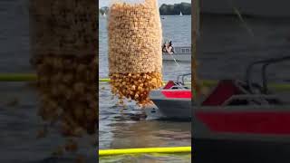 🦆🦆🦆🦆 #shorts The beginning of the yellow toy duck race in Hannover was quite funny.