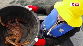 Crabbing in the High North