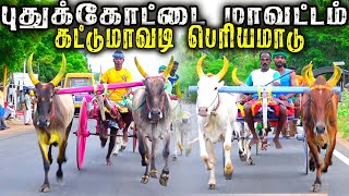 1புதுக்கோட்டை(மாவட்டம்) கட்டுமாவடி பெரியமாடு பந்தயம் 10.08.2023