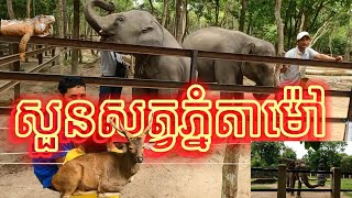 តោះទៅមើលសត្វនៅសួនសត្វភ្នំតាម៉ៅ/Phnom Tamao Zoo