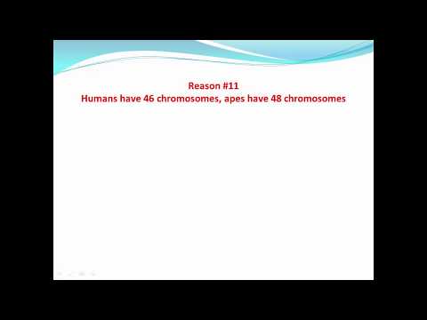 Can humans have 48 chromosomes?