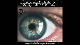 Har Taraf Khoobsoorti | Latest Islamic bayan video | Motivational waqia | Muhammad Tasleem Raza