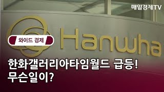 한화갤러리아타임월드 급등! 무슨 일이? / 와이드경제2 / 매일경제TV