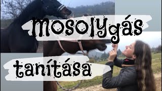 Mosolygás megtanítása || Trükkök #1