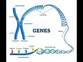 Bot XII Lec 20 Chap 6 Introduction of Chromosomes & DNA GENETICS By Prof Wajahat Ali Jafree