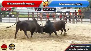 คลิปเต็มคู่ 7 โคโหนดเพชรเอก (โซล่า)  VS โคโหนดจอมพลเล็ก(จอมรุน)