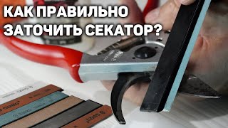 Как правильно заточить секатор? ✂️