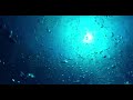 【睡眠】deep sea 神秘的な深海の音 asmr 発達障害 イライラ 耳鳴り 夜勤明け