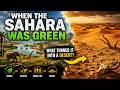 When The Sahara Was Green… What Turned It Into a Desert?