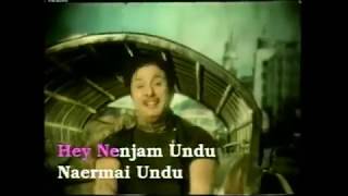 நெஞ்சம் உண்டு,  நேர்மை உண்டு ஓடு ராஜா !  (எம்.ஜி.ஆர் பாடல் என் குரலில் !)