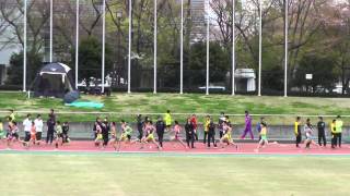 2015 第49回平成国際大学長距離競技会　男子5000m 4組