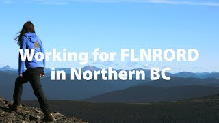 Working for Forests, Lands, Natural Resource Operations and Rural Development in Northern BC