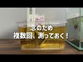 ベタ水槽に使える「水作ベタのリーフエキスパック」をレビューしてみました！