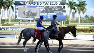 BATACAZO GULFSTREAM PARK,  MIÉRCOLES, 15 de enero 25,